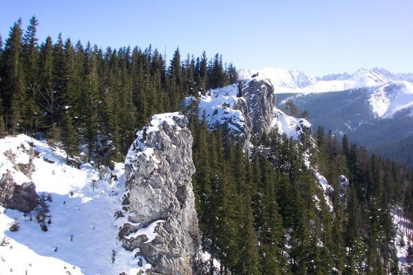 Poland - Zakopane - Powder!