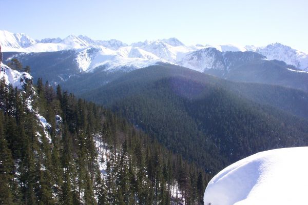 Poland - Zakopane - Powder!