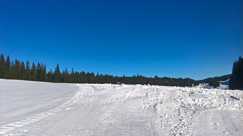 Le Brassus / Vallée de Joux snow