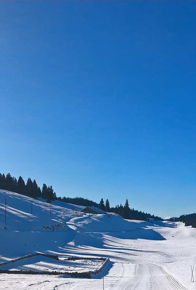 la Dôle depuis la combe des Amburnex, Le Brassus / Vallée de Joux
