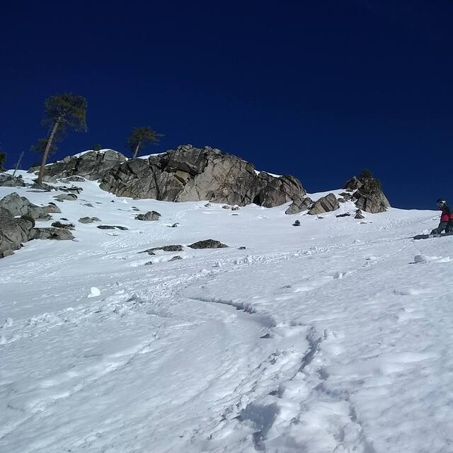 Bear Valley