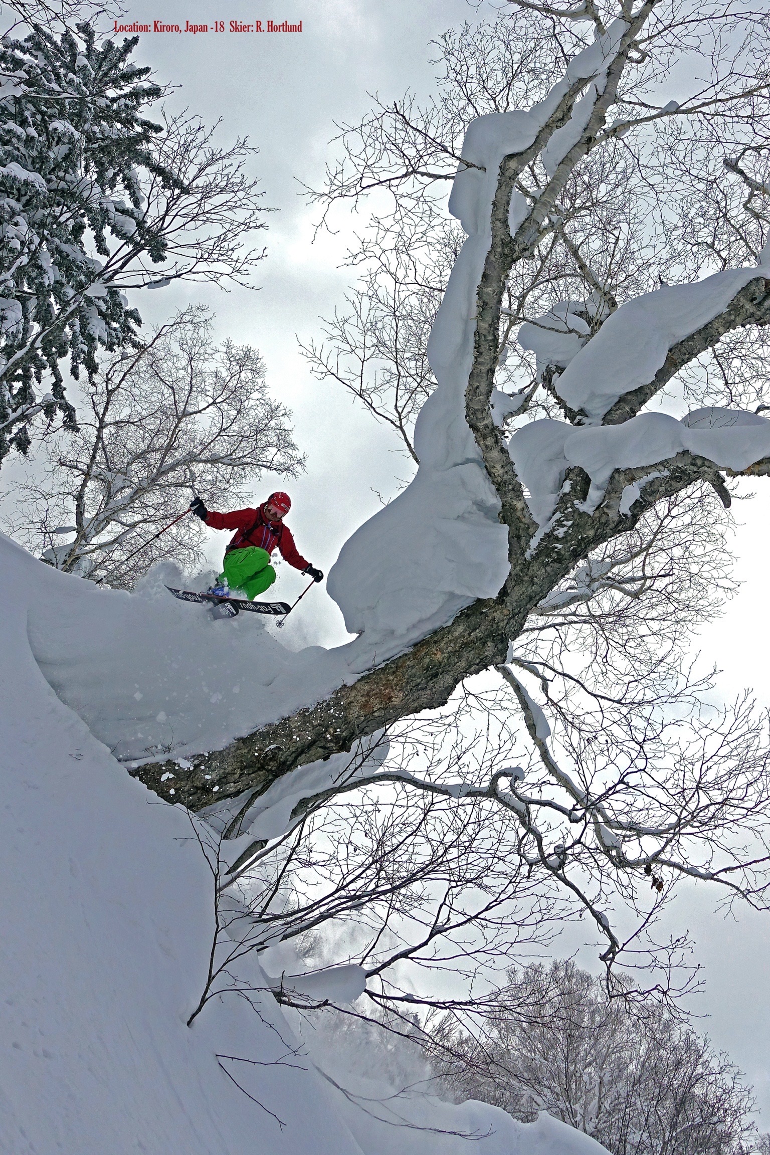 TreeSkiing!...Japan, Kiroro Resort