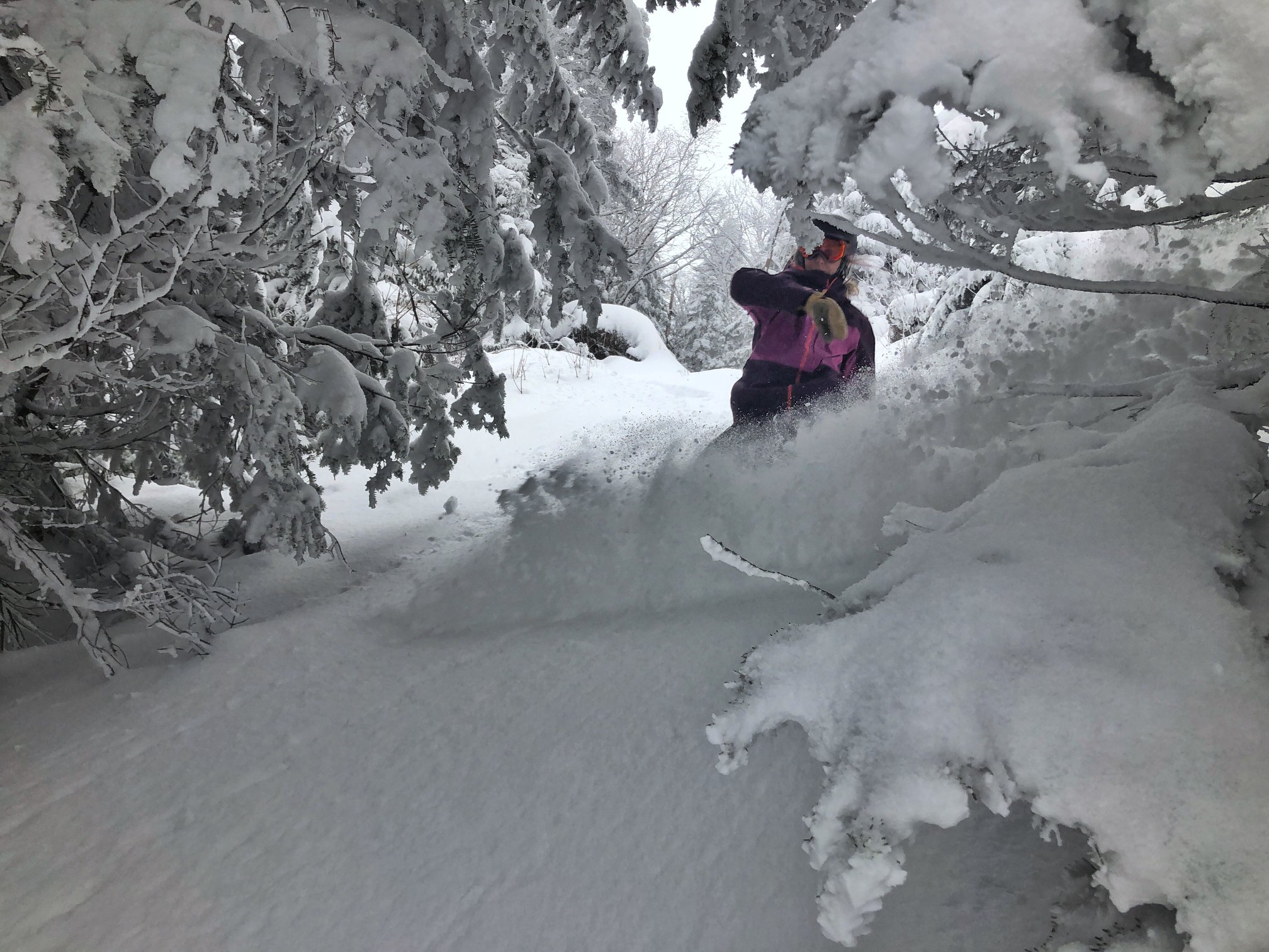 49cm (20") of snow in the past week, Smuggler's Notch