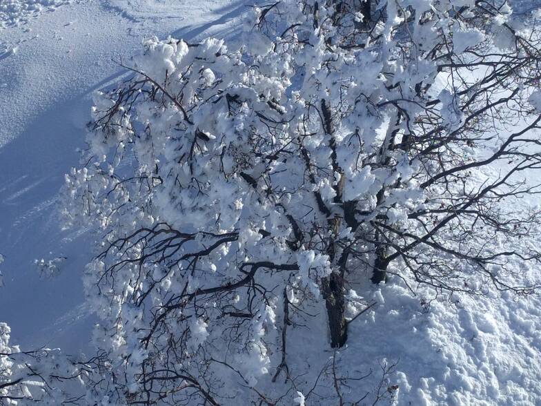 סקי כחול לבן הסעות לחרמון, Mount Hermon