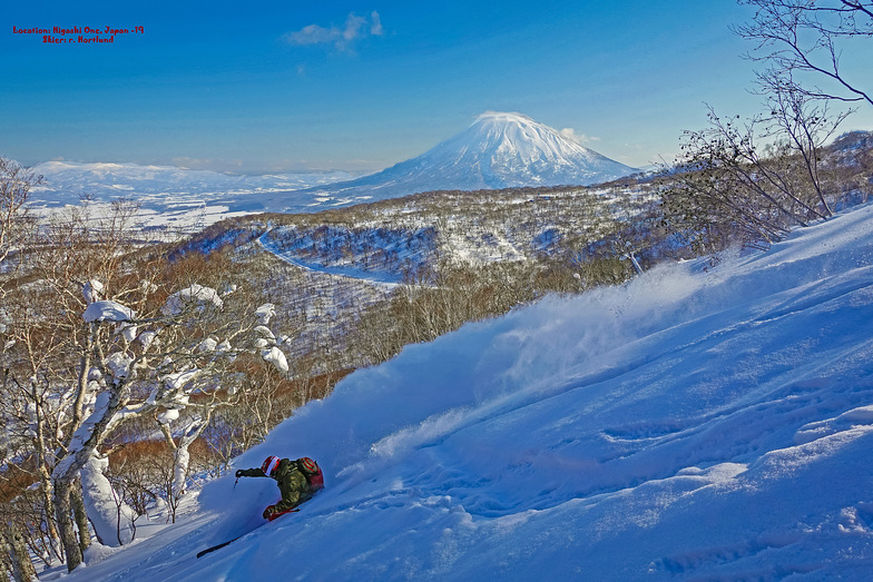 Deep Pow, With Mt Yotei watching over you!, Niseko Hanazono Resort