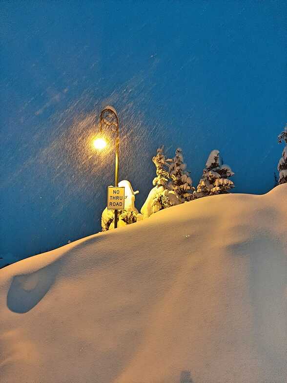 big white