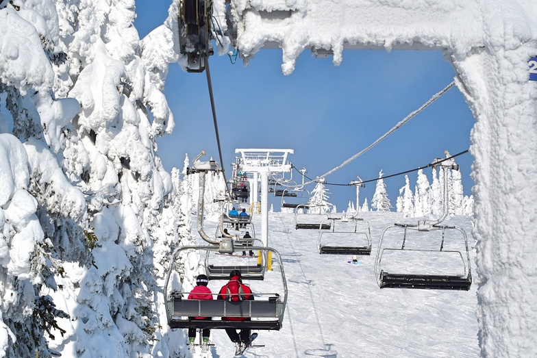 big white