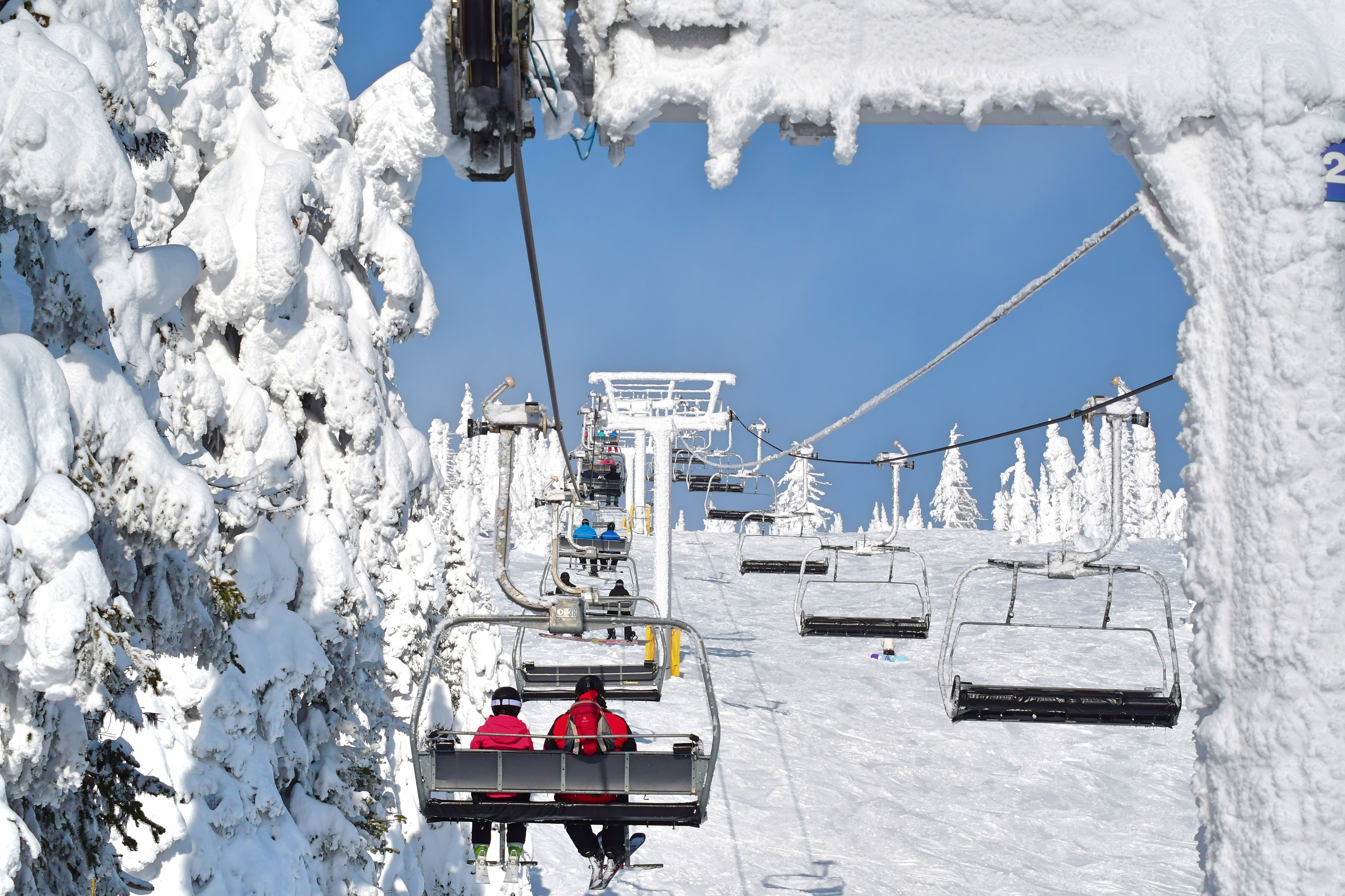 big white