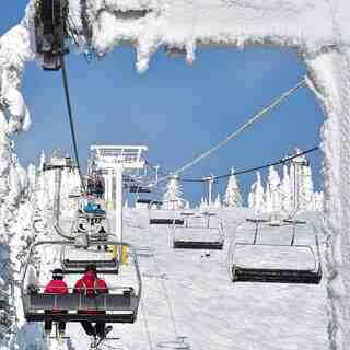 big white