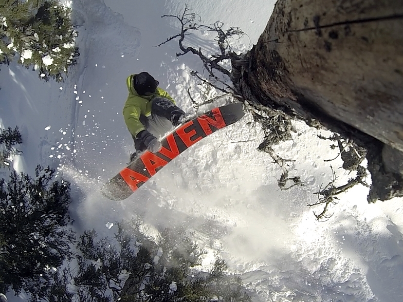 bkfliptree, Flims Laax Falera