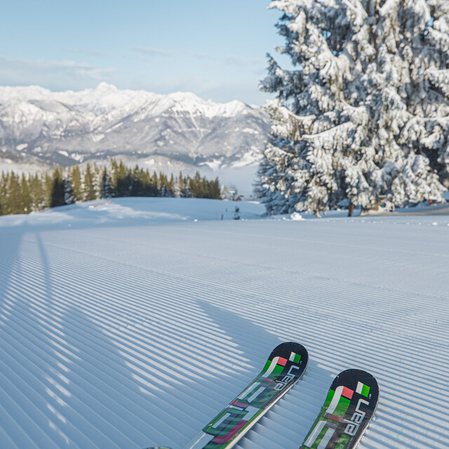 Cerkno Snow: Ski track Grič