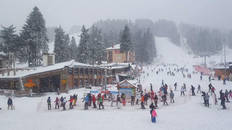 snow falling at last, Borovets