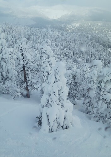 Les Angles Ski Resort by: Xavier Bonet