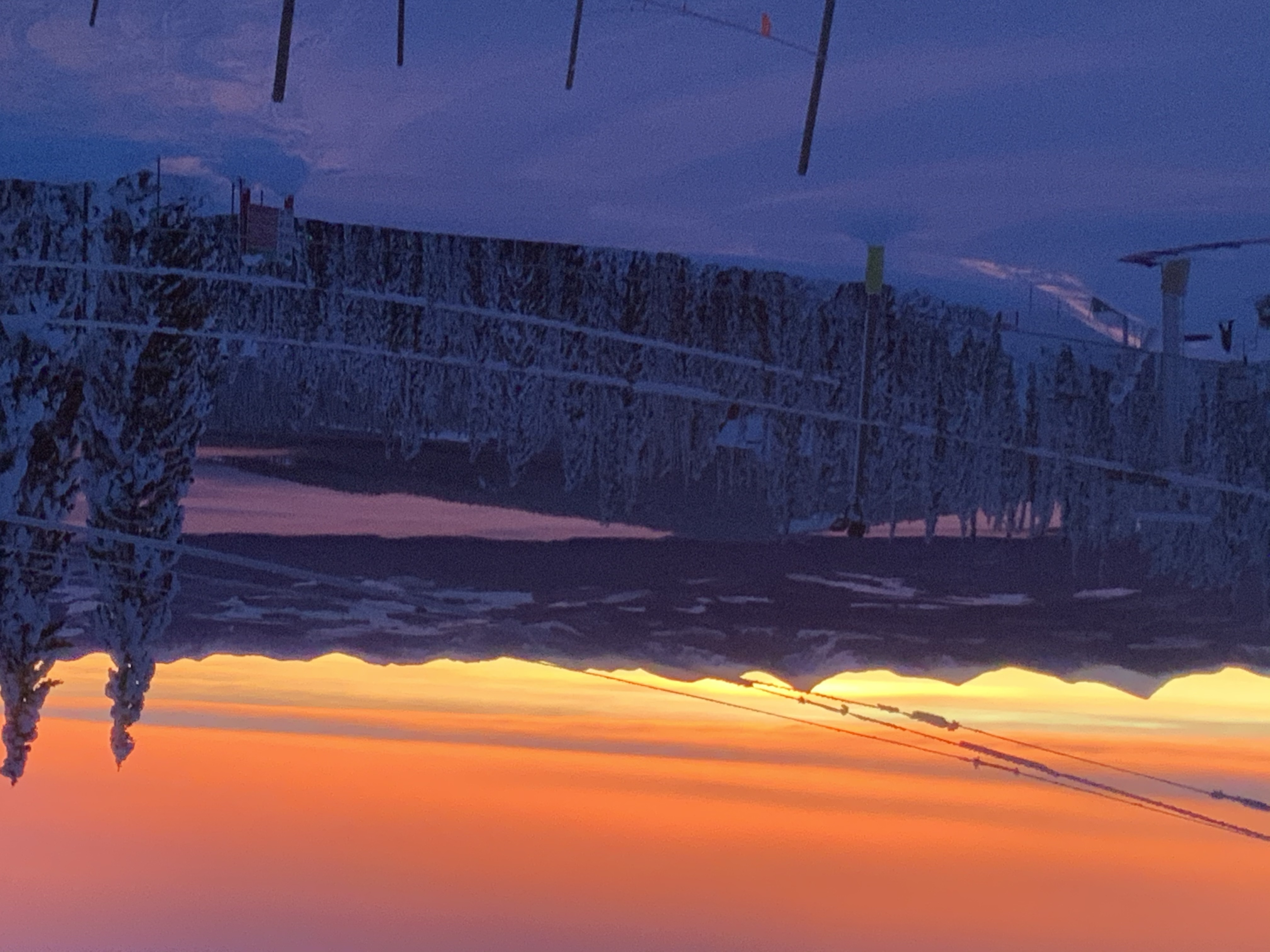 Morning Glory, Big White