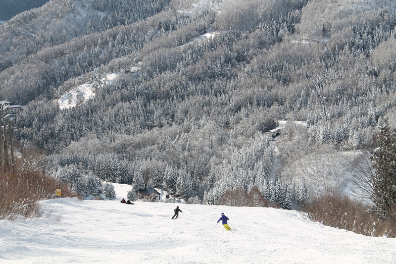 NOZAWAONSEN, Nozawa Onsen