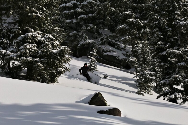 first to report more than 5m (17ft) snow depth on upper slopes, Mt Hood Meadows