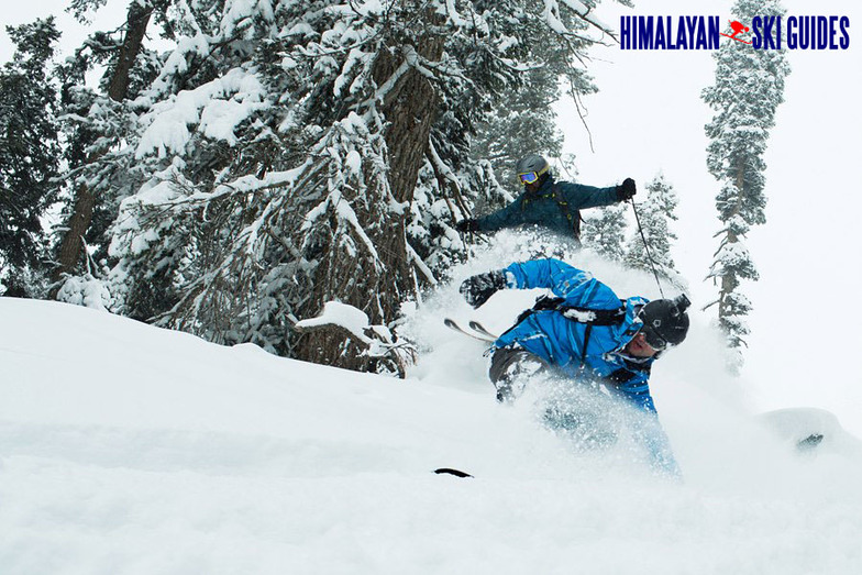 Himalayan Ski Guides, Gulmarg