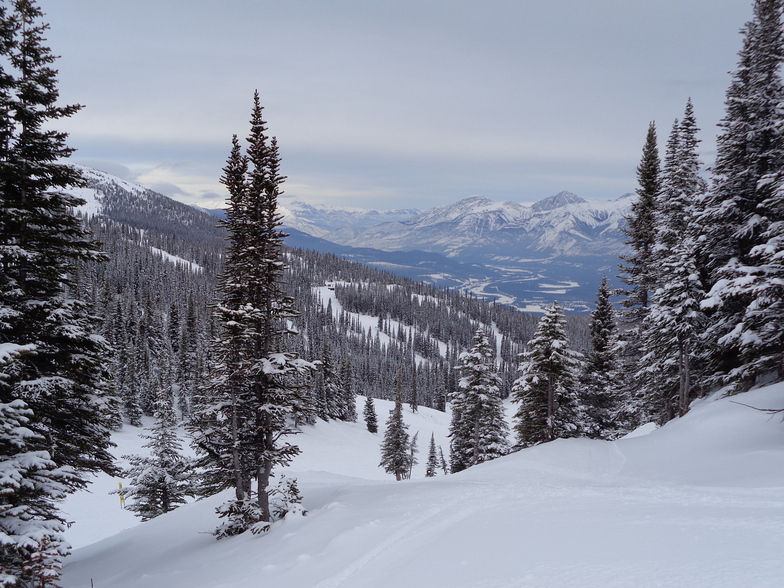 A cold Hobbit's Hollow, Marmot Basin