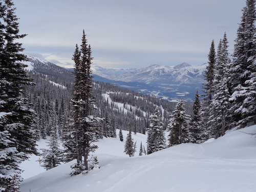 Marmot Basin Ski Resort by: Doug Parker