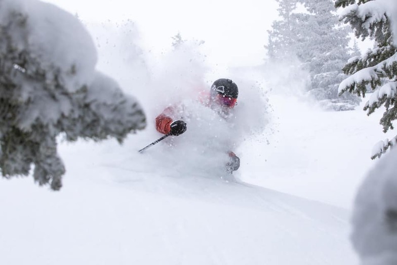 up to 55 inches (1.4m) in Colorado & Utah, Crested Butte