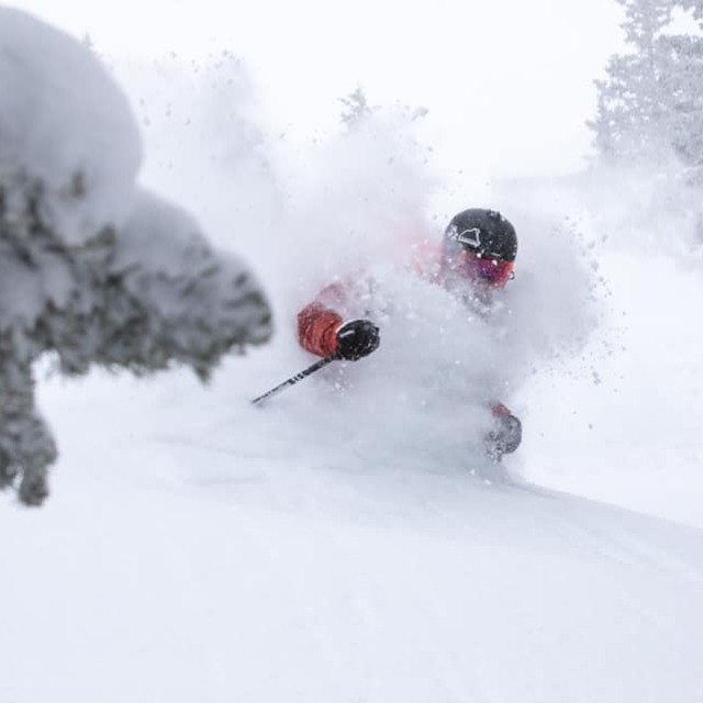 up to 55 inches (1.4m) in Colorado & Utah, Crested Butte