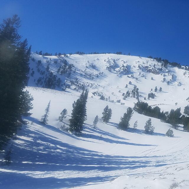 Cat Ski Ara, Peak 2, Soldier Mountain