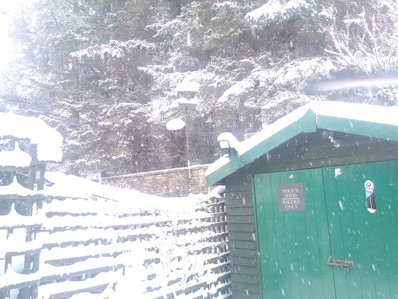 Snow in my back yard, Allenheads