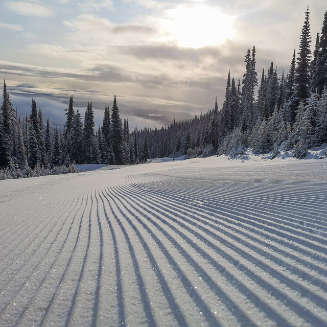 Sun Peaks Snow: Cori Bondini