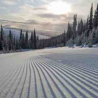 Cori Bondini, Sun Peaks