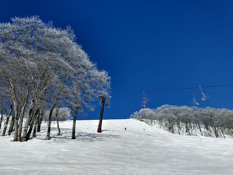 Hakuba February 22 2020, Hakuba Highland