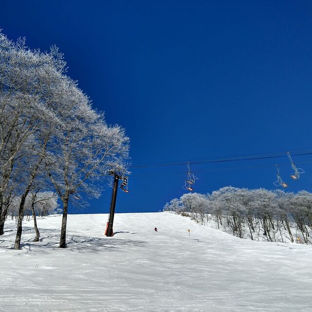 Hakuba February 22 2020, Hakuba Highland