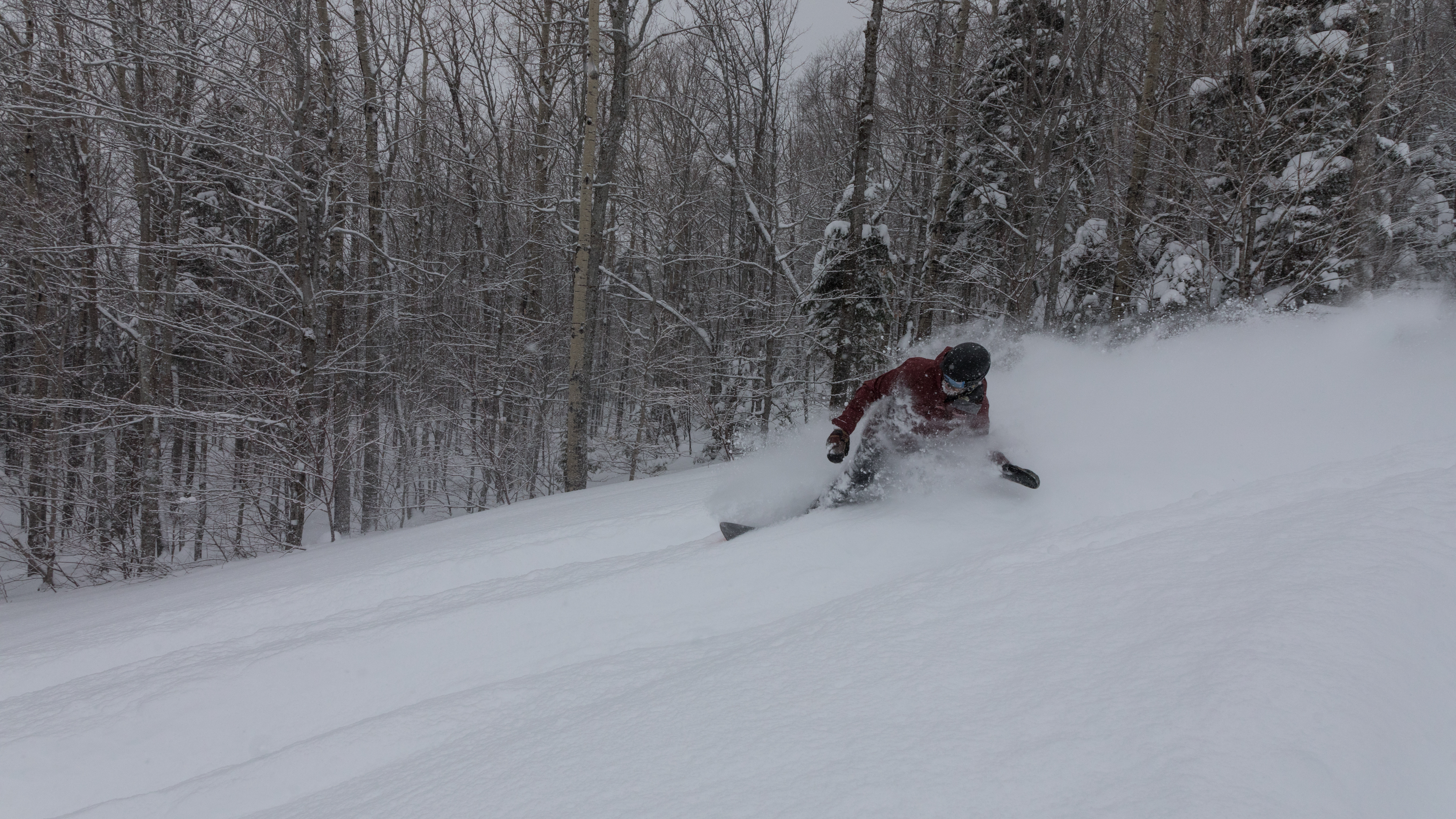 powday, Le Massif Ski Area