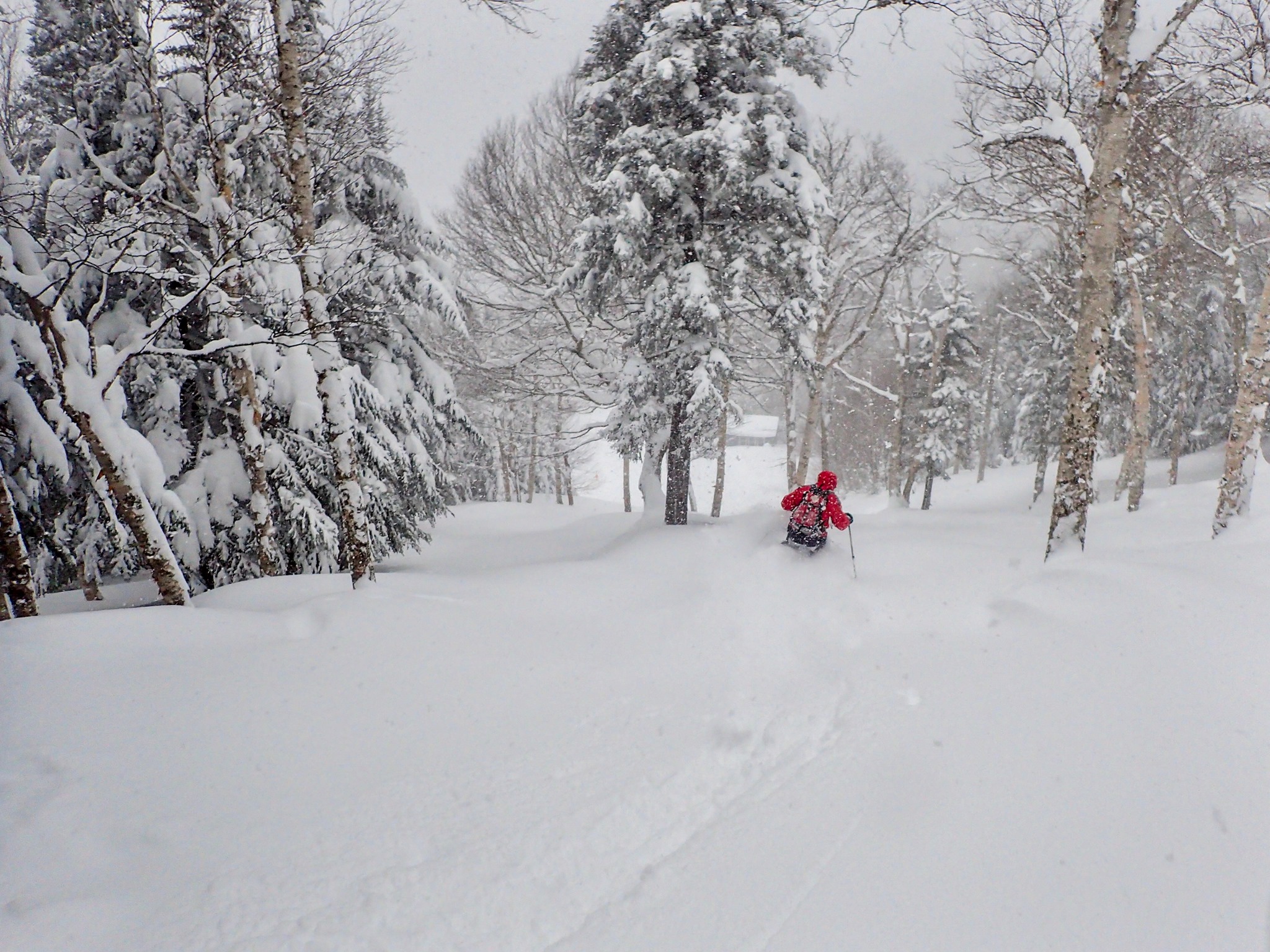 20" (60cm) in the past 30hrs, Smuggler's Notch