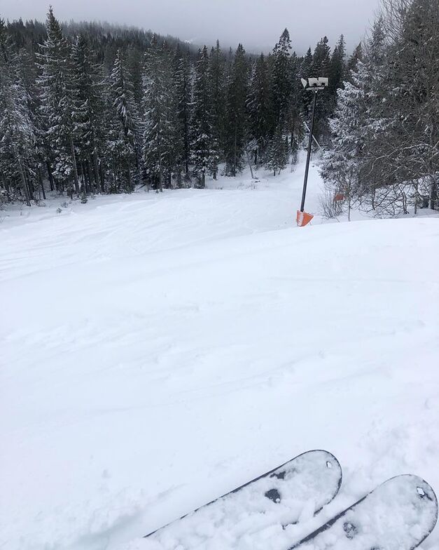 20cm (8") in 24hrs at last, Tryvann