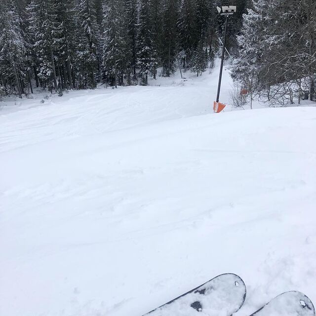 20cm (8") in 24hrs at last, Tryvann