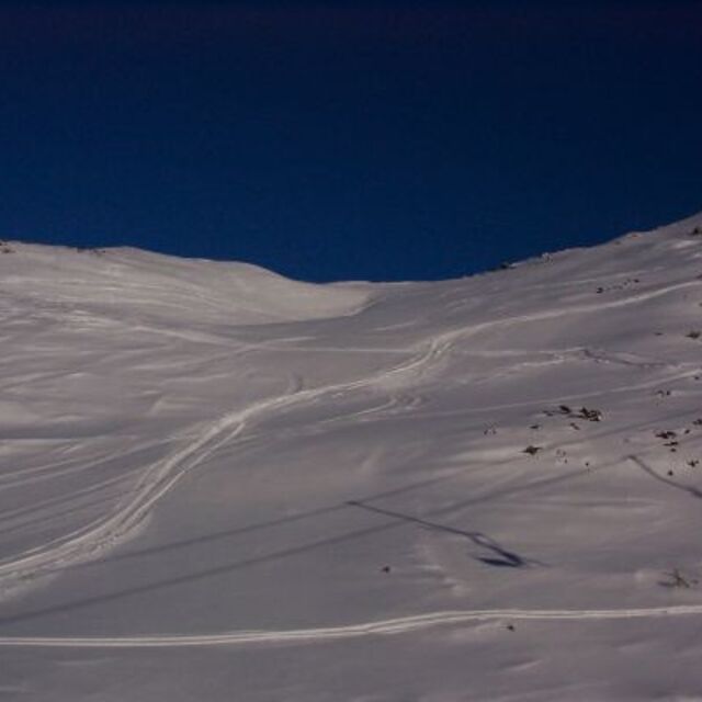 Poland - Zakopane - Powder!