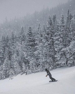 snow is falling, Wildcat Mountain photo
