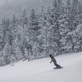 snow is falling, USA - New Hampshire