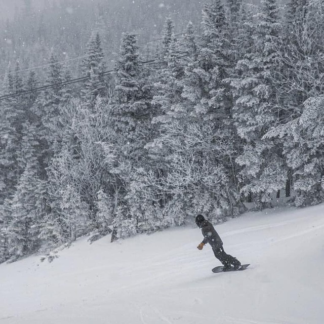 snow is falling, Wildcat Mountain