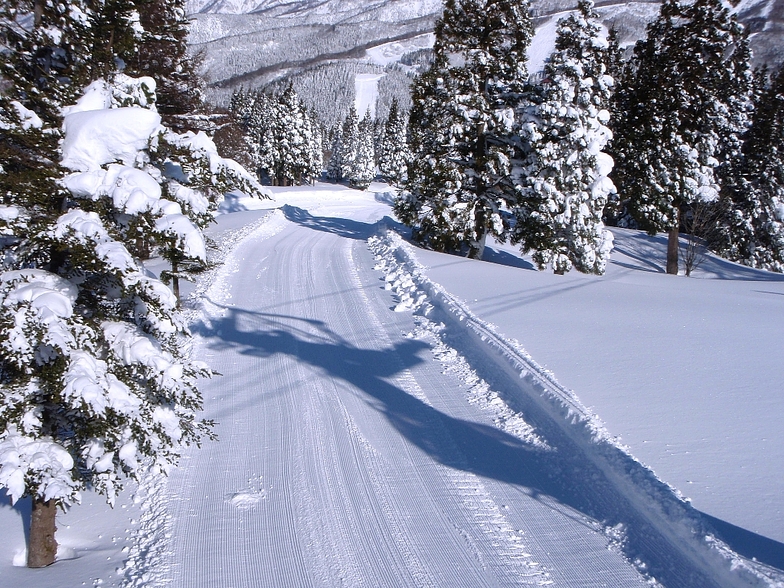 snow, Snow Wave Park Shiratori Kogen