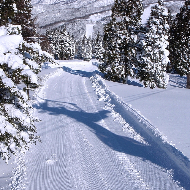 snow, Snow Wave Park Shiratori Kogen