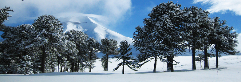 Volcan Lonquimay, Corralco