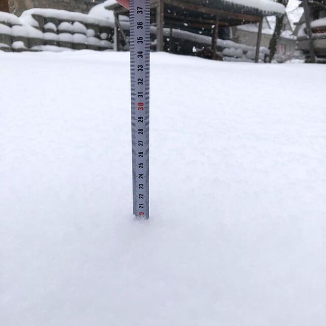 Coronavirus has shut the ski areas but ....., Białka Tatrzańska