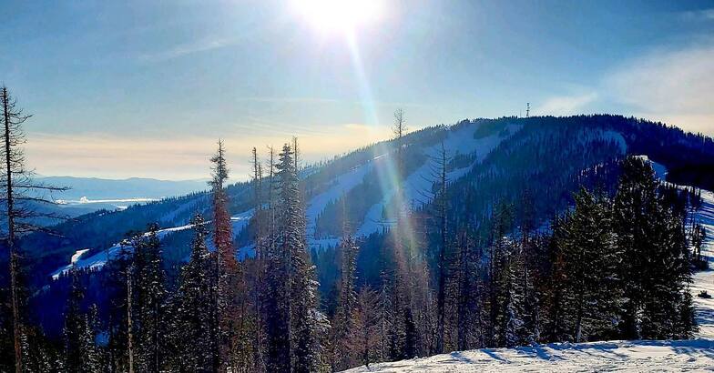 49 Degrees North