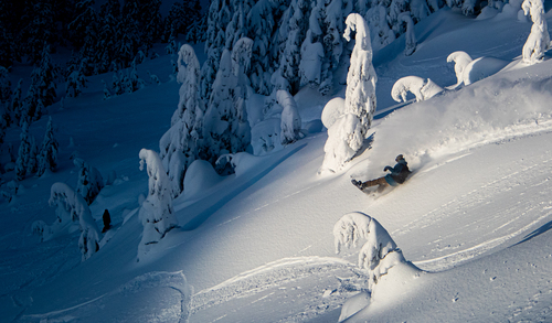 Eaglecrest Ski Area Ski Resort by: as