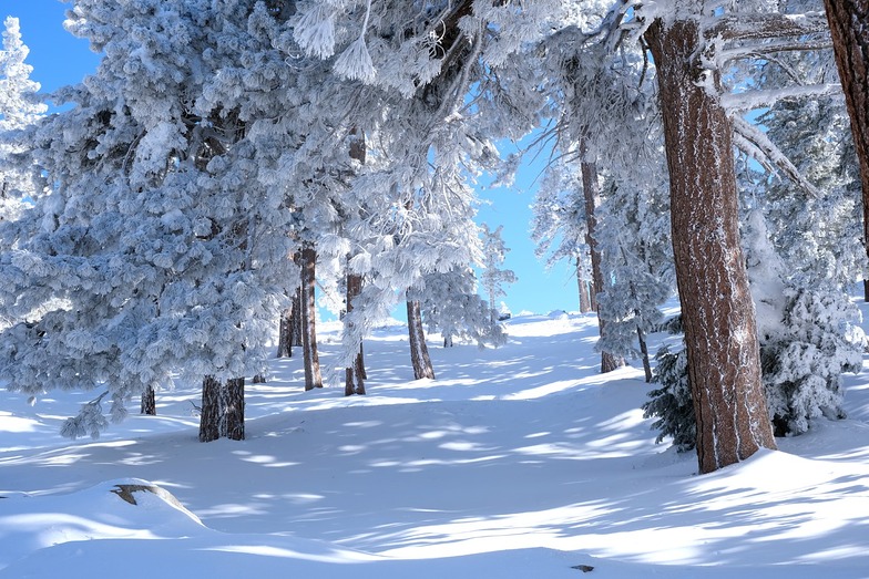 Mountain High, Mountain High resort