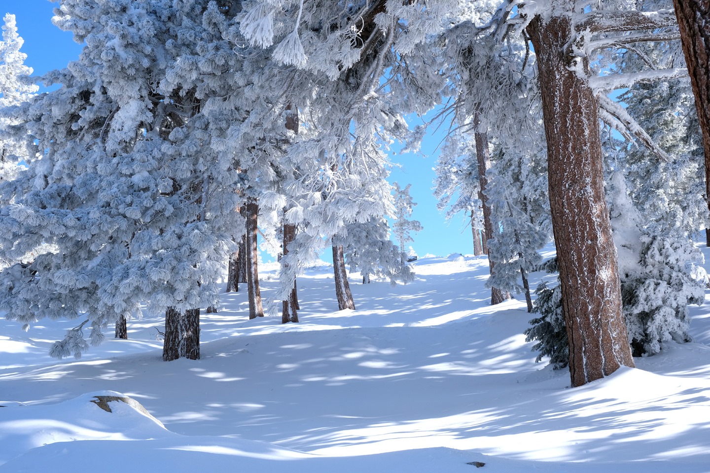 Mountain High Resort, Wrightwood