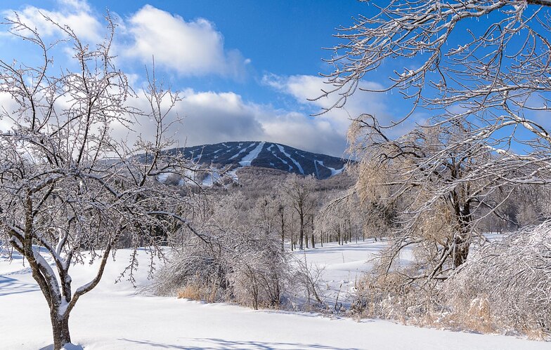 Stratton Mountain snow