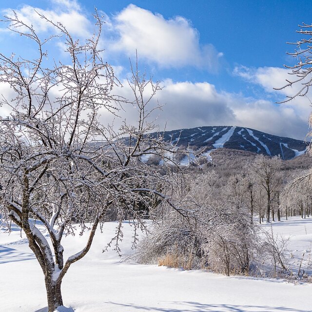 Stratton Mountain Resort