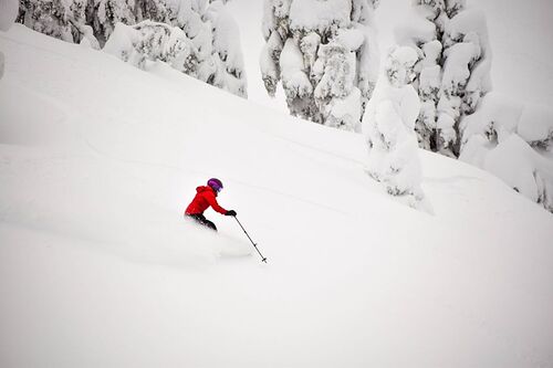 Eaglecrest Ski Area Ski Resort by: tourist offical